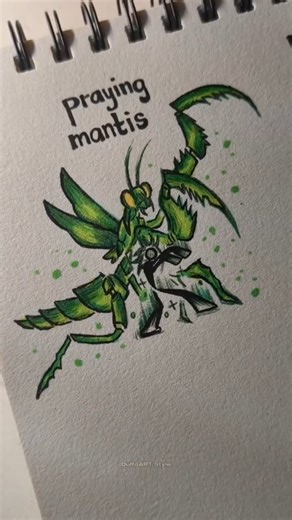 Daily Draw For Fun on Instagram: "How to draw body with (praying mantis, phoenix bird) #artwork #tutorial #stickman #reel #fpy"