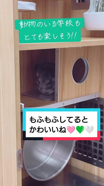 中央動物看護専門学校の姉妹校シリーズ