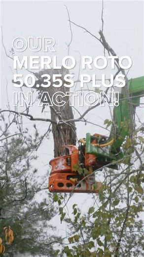 Our Merlo Roto Telehandler in action! #treework #heavyequipment #trees #shorts