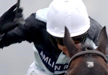 US Horse of the Year Curlin wins $6million Dubai World Cup - Horse & Hound