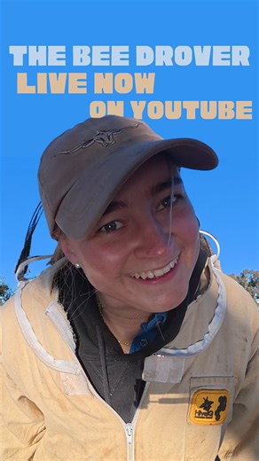 Episode 1 of The Bee Drover is now live 🎬🐝. This is the start of a full season - raw, unfiltered, and unscripted. 👉 link is in my comments and bio. @thebeedrover | Phia's bees