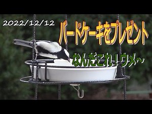 越冬給餌には欠かせないバードケーキをプレゼント。自作バードフィーダーでお手軽野鳥観察。