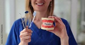 Closeup of dentist holding model of human jaw with teeth toothbrush mirror and dental instruments