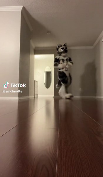 Furry Costume Exploration: Artistic Movement in Fandom