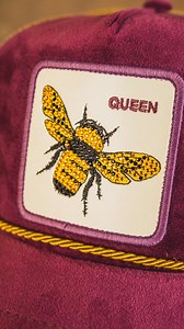 Shop in-store at Lids this holiday season to grab the perfect gift. | Lids