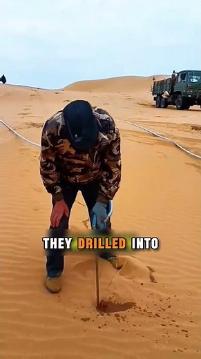 Why China Released 1.2 Million Rabbits Into the Desert