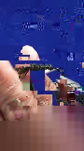 395K views · 5.5K reactions | GFA Hopper | The Tao of Flies | Facebook