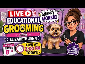 🔴 LIVE Dog Grooming: Grooming a Snappy Morkie | Educational Grooming Tips