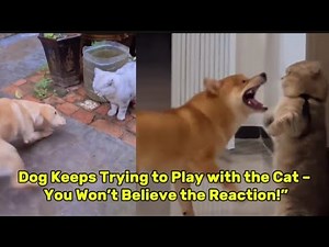 Surprising Footage! This Frog Rules the Pond as a Fearless Hunter"