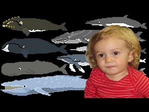 The Kids Picture Show Whales - Oskar's Video Response