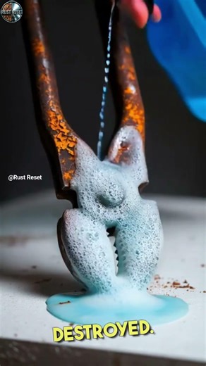 Satisfying Rusty Pliers Restoration | Rust Reset ASMR #satisfying #rustremoval #asmr