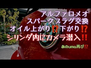 【スパークプラグ交換】#039 純正スパークプラグをNGK プレミアムRXにDIYで交換。12万キロのエンジンシリンダー内部に超小型カメラ潜入⁉️驚愕の結果に❗
