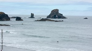 Ecola State Park features rugged coastal cliffs, forested hiking trails, and popular surfing spots on the Oregon coast.