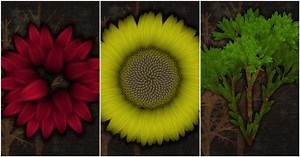 Implementing L-Systems In Substance 3D Designer