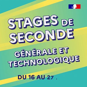 3K views · 397 reactions | Du 16 au 27 juin, les élèves en classe de seconde doivent effectuer un stage. Retrouvez des milliers d’offres sur 1eleve1stage.education.gouv.fr | Ministère de l'Éducation nationale | Facebook
