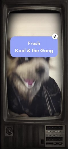 Kool & the Gang: Masters of Funk and Soul Music Legacy