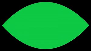 Download Green screen eye blinking open close animation overlay effect first person view chroma key for free