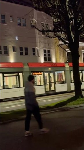 ⭐ 4K Bergen Street Vibes 🌸 | Norway Street & Nature Aesthetic 🇳🇴