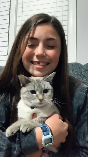 #greenscreen #toothless #fyp #bakingrecipe #neverfitin #natureathome