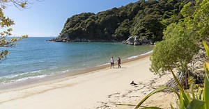 Nelson - Things to see and do | South Island | New Zealand