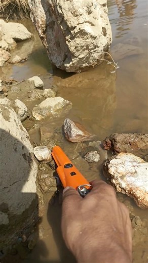 best pinpointer gold detector finding coins #pinpointermetaldetecor #golddetector #shortsfeed #coin