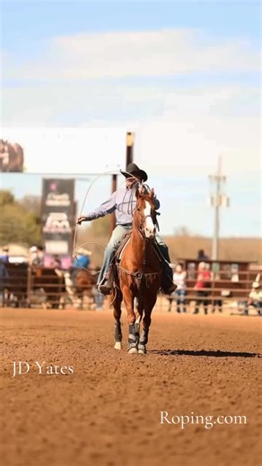 Roping.com on Instagram: "Ropin in the Arizona sun just hits different 🔥 JD Yates with the heel shot in the Ariat WSTR Title Fights #11.5 roping. We are rolling through the action today so make sure to tune in. Livestream link in bio!"