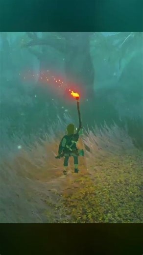 塞爾達傳說教你如何三滴血輕松拔出大師劍！超詳細指南，秒變大師 #塞尔达 #王国之泪 #游戏攻略 #新手教程 #任天堂