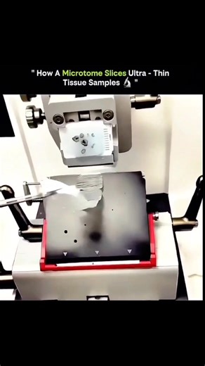 KNOWLEDGE HUB on Instagram: "🔬 How a Microtome Slices Ultra-Thin Tissue Samples • A microtome is used in biology and pathology labs. • It produces slices just a few micrometers thick. • Tissue is first fixed with chemicals to preserve structure. • Samples are embedded in paraffin wax or resin for support. • The microtome holds the sample securely in a clamp. • A sharp blade moves in a precise, controlled motion. • Mechanical or automated systems control thickness accurately. • Each slice is uni