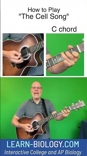 How to Play the Cell Song #apbiology #cellstructureandfunction