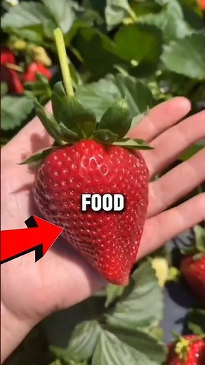 Healthy vs Unhealthy Strawberry 🍓 | Fresh vs Processed Strawberry Facts