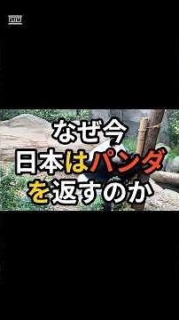 なぜ今日本はパンダを中国に返すのか