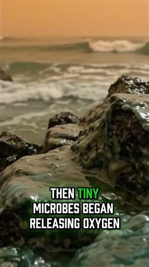 How microbes saved life on Earth #shorts #oxygen #history