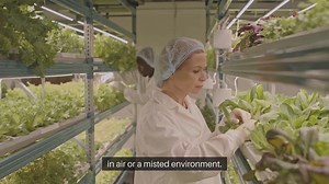 Aeroponic Gardening Nutrient Solutions