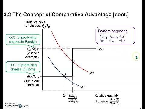 The RD-RS Analysis of The Ricardian Model Part I