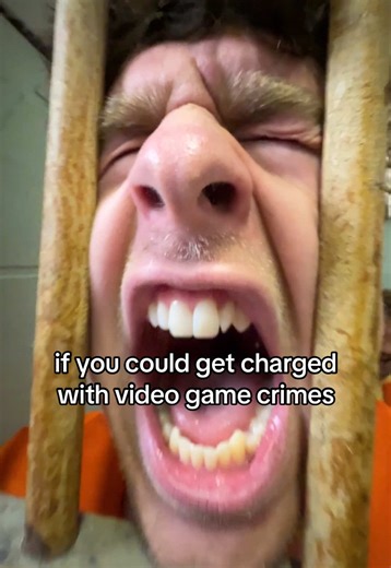 Every Little Brother Would Go to Prison for Video Game Crimes