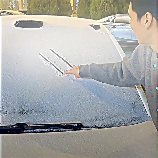 Engaging Daily Facts You Didn't Know