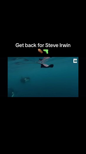 Crikey 🙏🏼 #fypシ