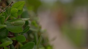 Dive into the crystal-clear waters of Paphos right from Louis Ledra Beach . Perfect for families seeking adventure and relaxation, our beachfront oasis promises moments you'll cherish forever. Discover Ledra Beach https://bit.ly/49oYMW8 #louishotels #familycollection #familycollectionbylouishotels #myhappyplace #familymoments #newera #unfilteredholidaysbylouishotels #unfilteredholidays #paphos #louisledrabeach | Louis Hotels