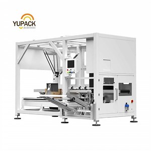 [Hot Item] Automatic Packaging Machine Delta Robot Pickup and Place Automatic Case Packer