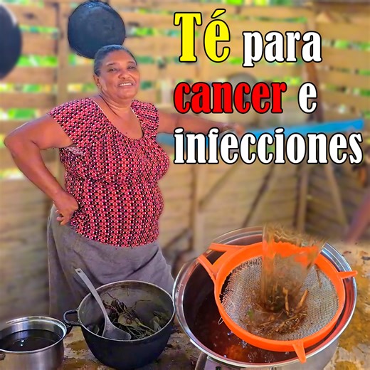 960K views · 25K reactions |  El mejor té del mundo para el cáncer y las infecciones en el campo  | remedio natural poderoso | Recordando la vida del campo | Facebook