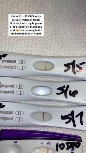 Understanding 12 DPO Pregnancy Tests Results