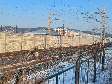 0Y788次（牡→亚布力）（2026.01.15）