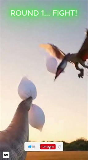 Dinosaur Pillow Fight Gone Wrong 😂