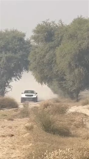 Team WOLFPACK | Just lovely 😍 #the_team_wolfpack | Instagram