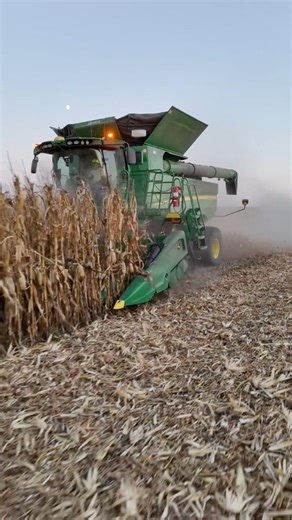 2025 corn harvest ✅#harvest2025 #agriculture #farmlife #minnesota #dronephotography #johndeere #farmlife #farming #drone #reelsfypシ | Petersen Farms
