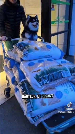 C’est quoi le POMSKY ?