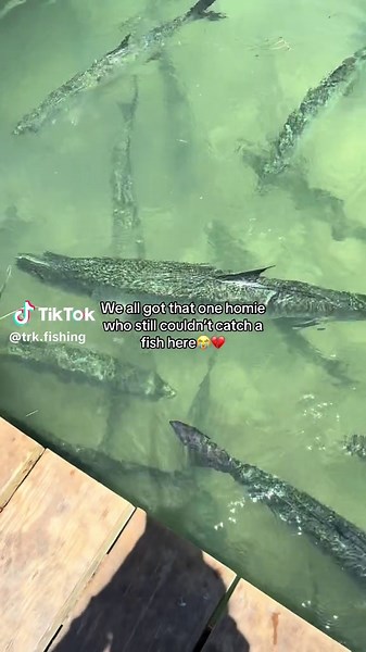 The Struggles of Fishing: When Catching a Fish Fails