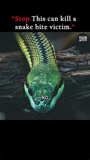 Snake Bite? Don’t Do This! 🐍 | Biggest Poison Myth