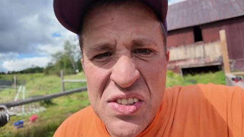 All pigs removed from Gold Shaw Farm in unusual move