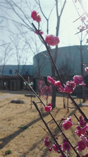 ARBOR（アーバー）は、ドライブがてらフラっと立ち寄れる、ライフスタイルショップ🌿 コーヒー片手にのんびり店内商品をご覧いただけます☕️ 店舗前には広場もあり、これからの季節はプチピクニックなんかも気持ちいいですよ♪ 日々の喧騒から離れ、 ゆったりとした時間をお過ごしください🌳 皆様のご来店お待ちしております。 📍ARBOR 福岡県大川市三丸1231-2 #福岡県 #大川市 #coffee #セレクトショップ